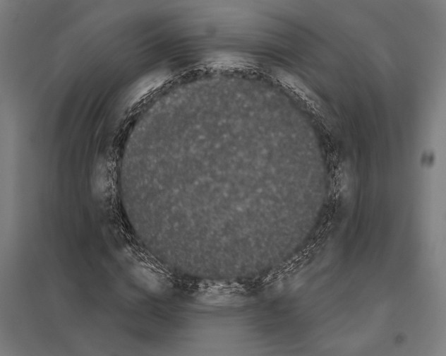 X0000097590824200803280925