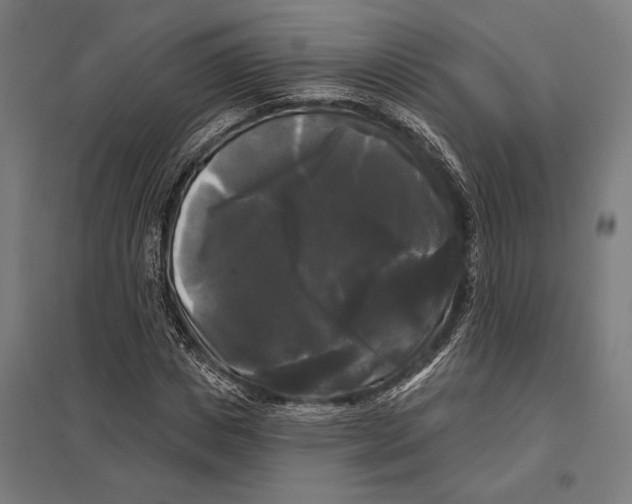 X0000097590825200803280925