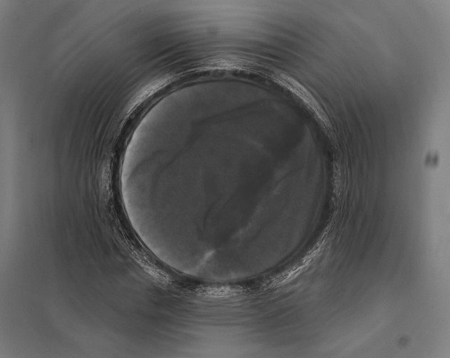 X0000097590826200803280925