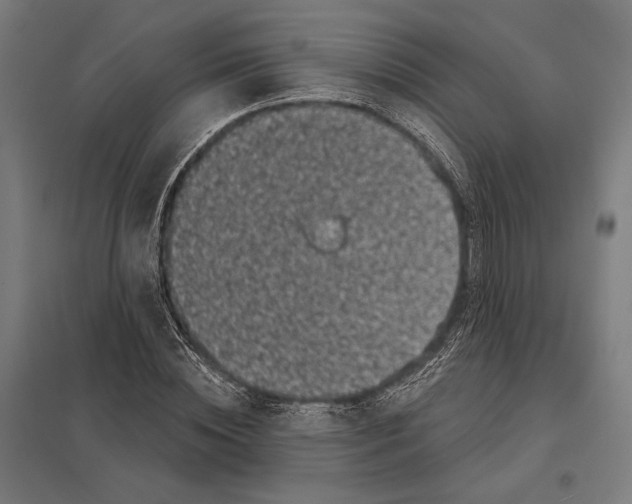 X0000097590828200803280925