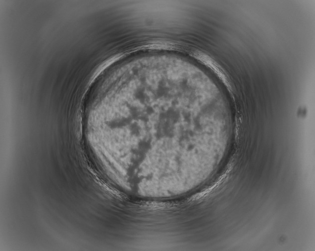 X0000097590829200803280925