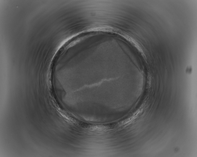 X0000097590830200803280925