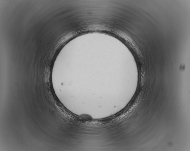 X0000097590833200803280925