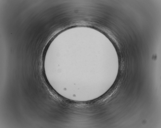 X0000097590837200803280925