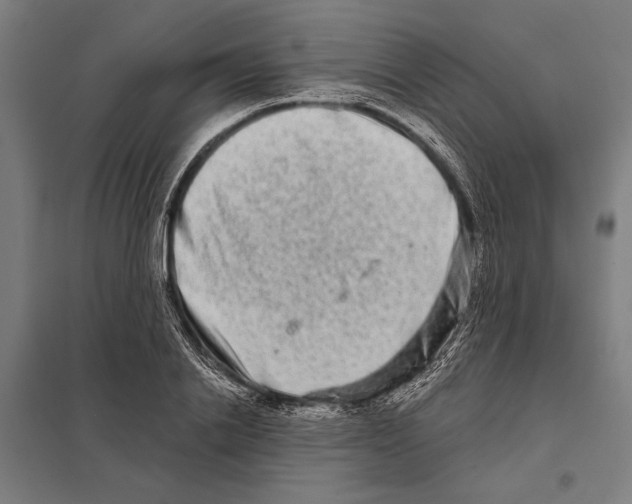 X0000097590838200803280925