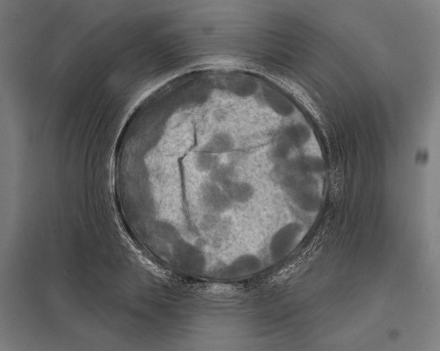 X0000097590839200803280925