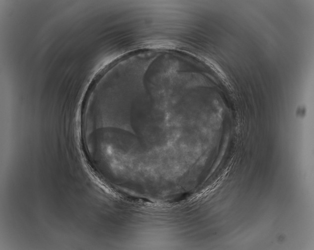 X0000097590840200803280925