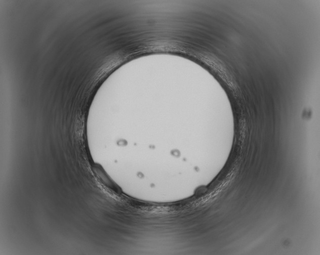 X0000097590841200803280925