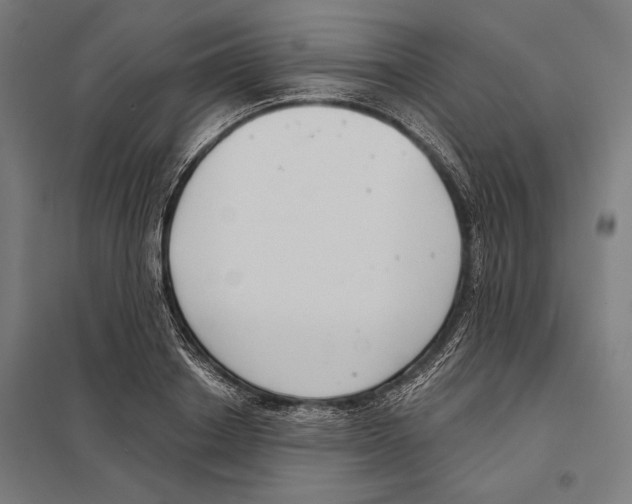 X0000097590842200803280925