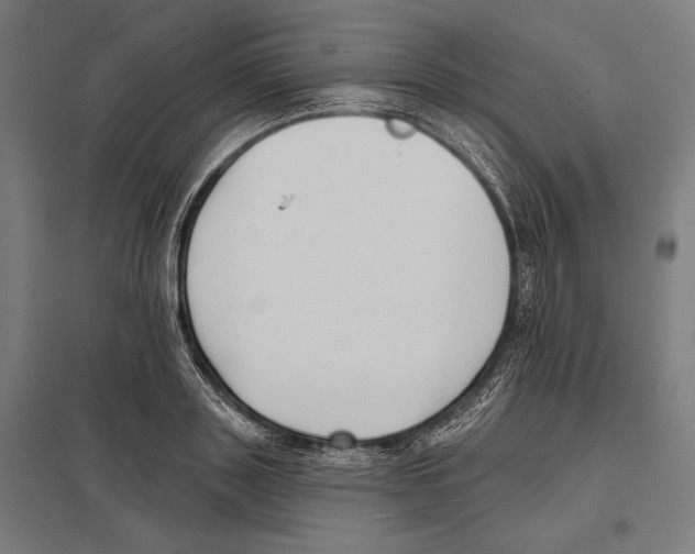 X0000097590843200803280925