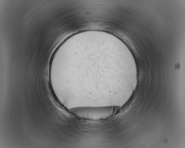 X0000097590844200803280925