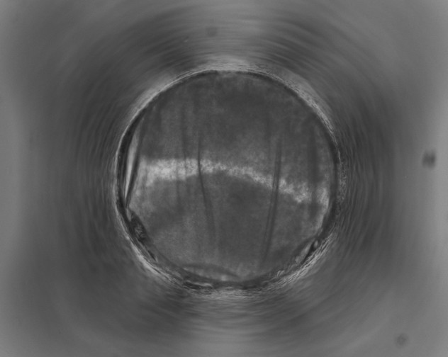 X0000097590845200803280925