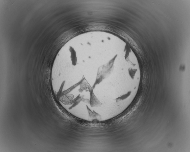 X0000097590849200803280926