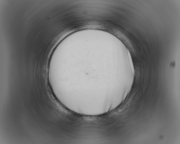 X0000097590852200803280926