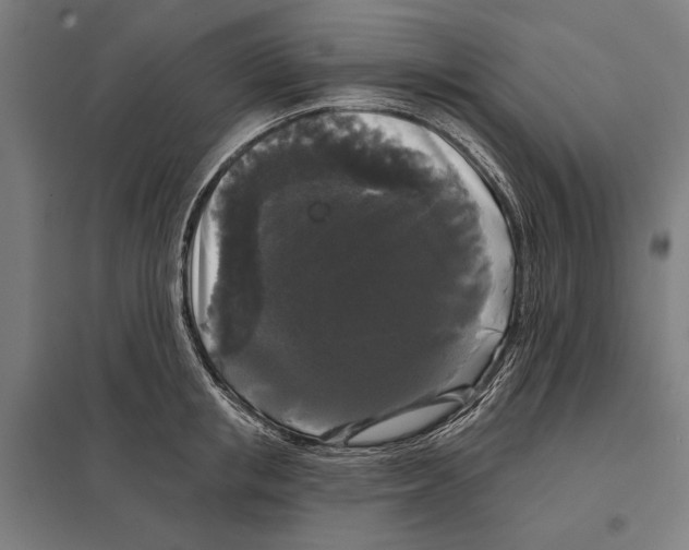 X0000097590853200803280926