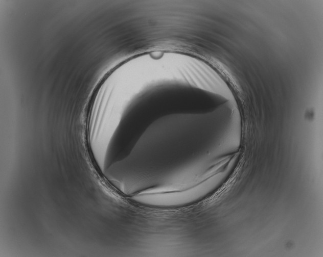 X0000097590854200803280926