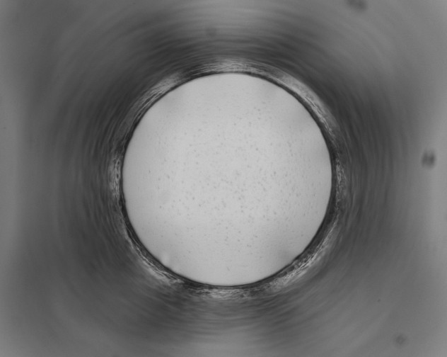 X0000097590857200803280926