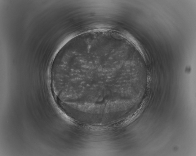 X0000097590859200803280926