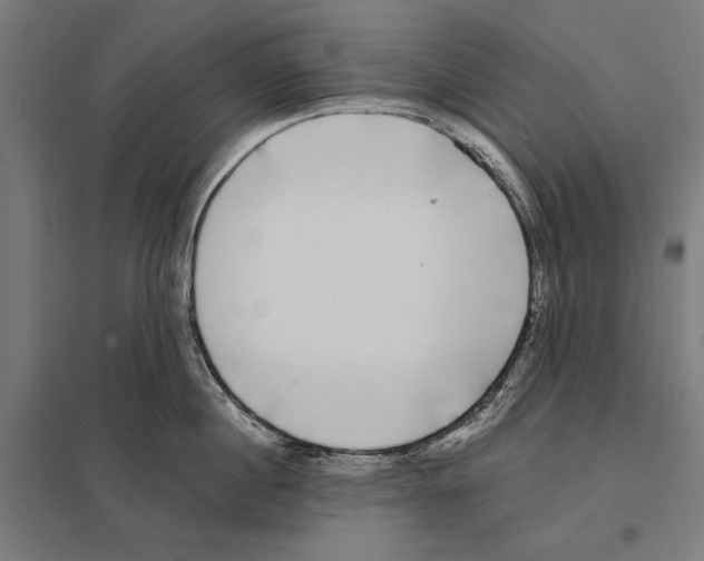 X0000097590860200803280926