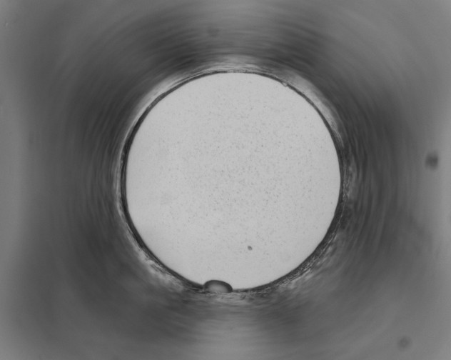 X0000097590861200803280926