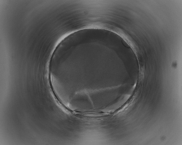 X0000097590862200803280926