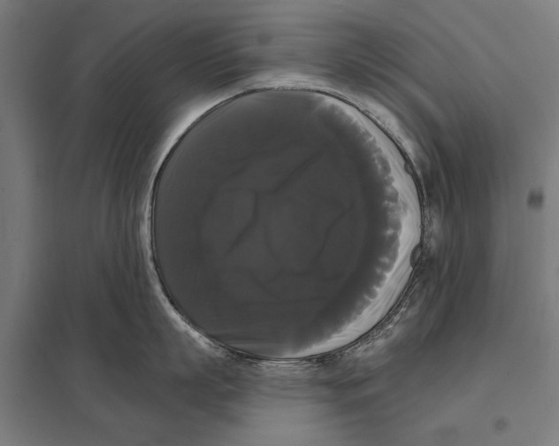 X0000097590863200803280926