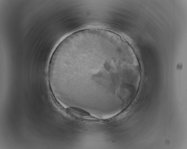 X0000097590864200803280926