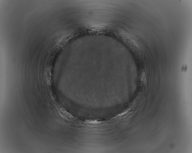 X0000097590868200803280925