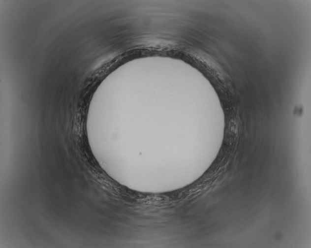 X0000097590869200803280925