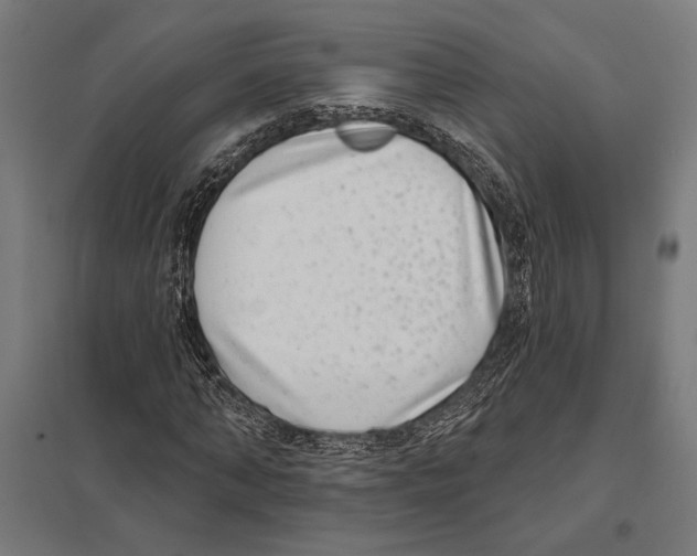 X0000097590870200803280925