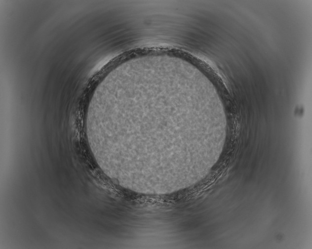 X0000097590871200803280925