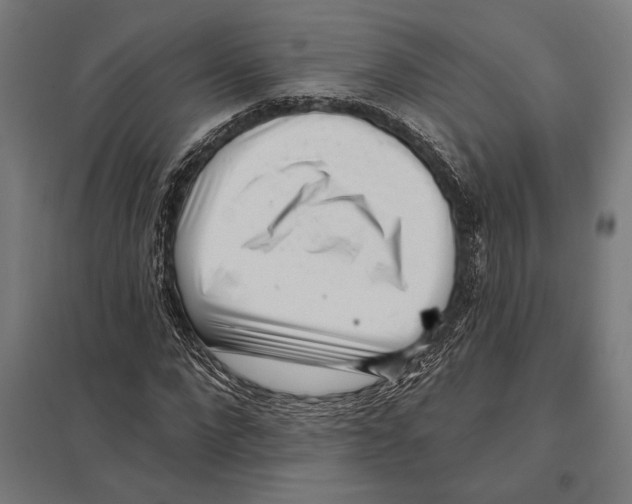 X0000097590872200803280925