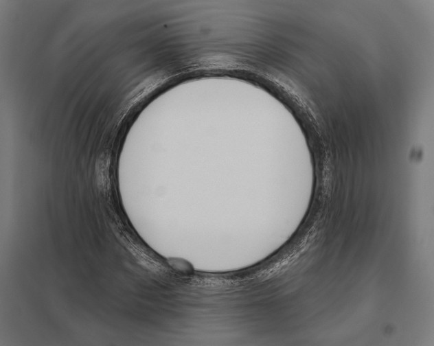 X0000097590873200803280925