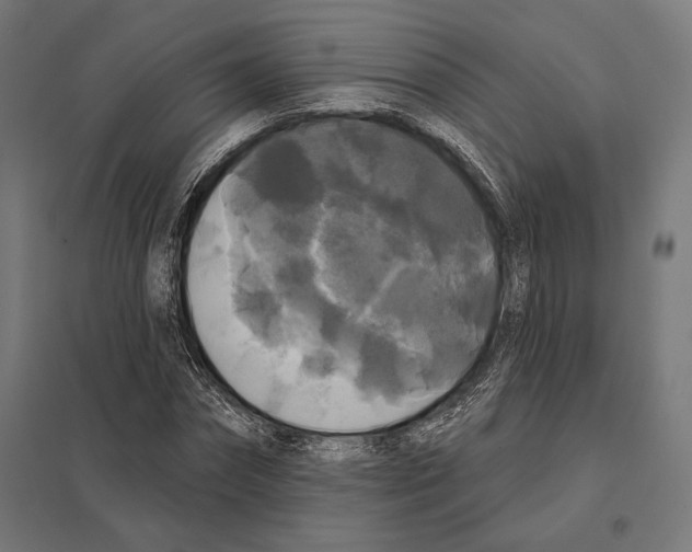 X0000097590874200803280925