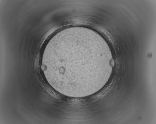 X0000097590875200803280925