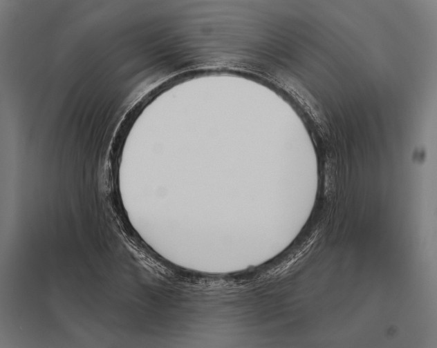 X0000097590876200803280925