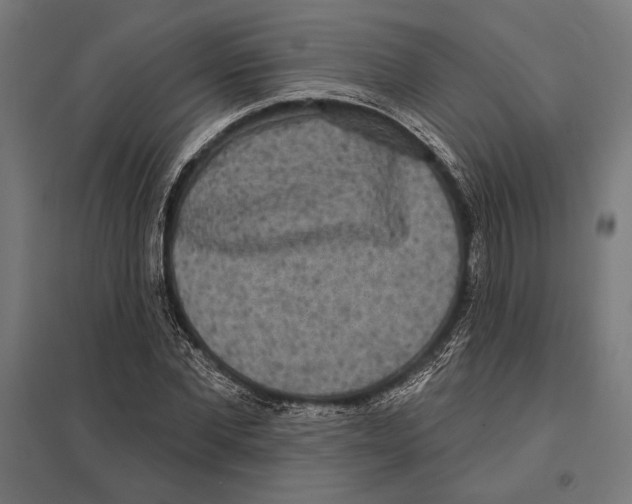 X0000097590877200803280925