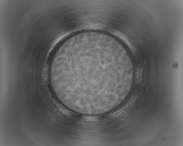 X0000097590878200803280925