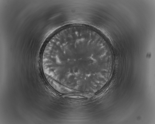 X0000097590879200803280925