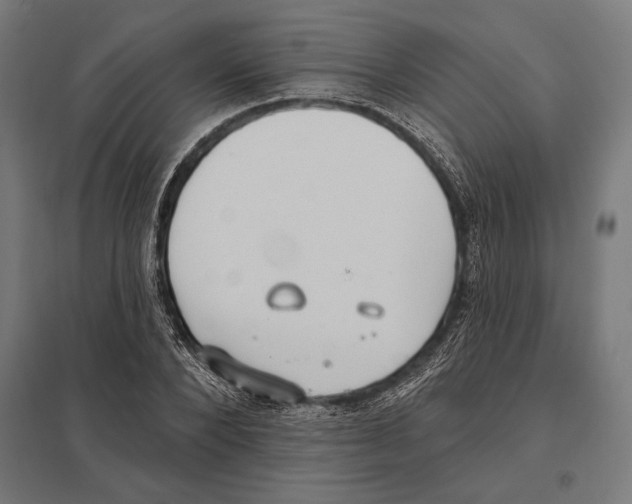 X0000097590880200803280925