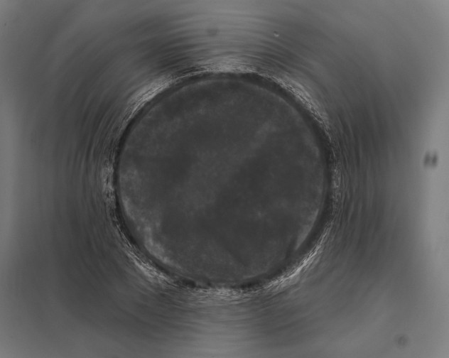 X0000097590881200803280925