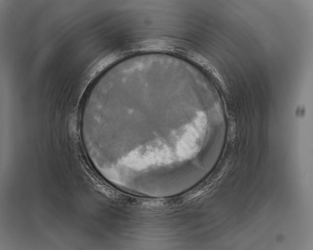 X0000097590882200803280925