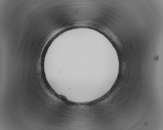 X0000097590884200803280925