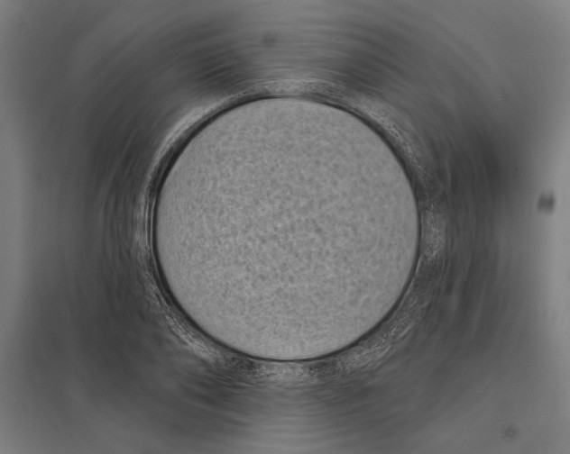 X0000097590886200803280925