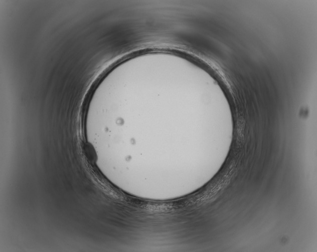 X0000097590887200803280925