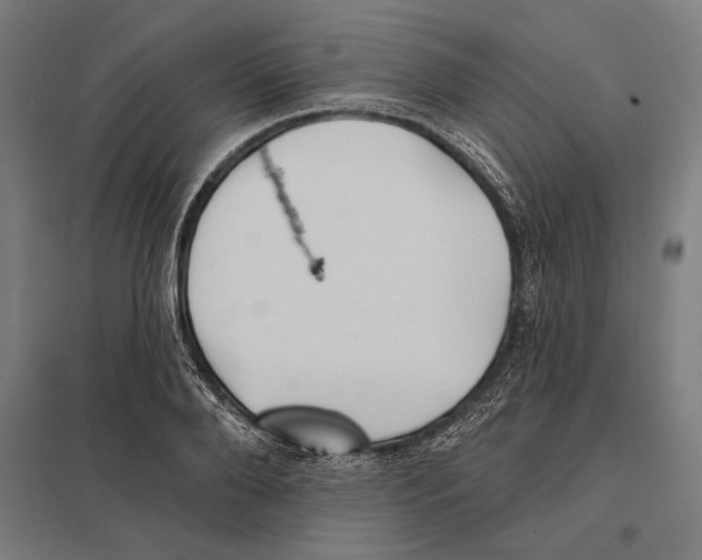 X0000097590888200803280925