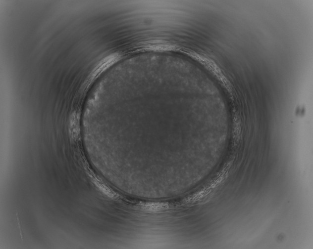 X0000097590889200803280925