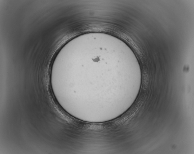 X0000097590890200803280925