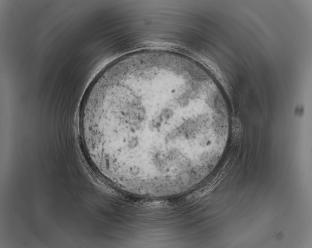 X0000097590891200803280925