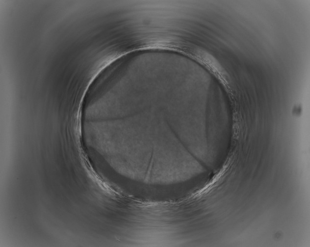 X0000097590892200803280925